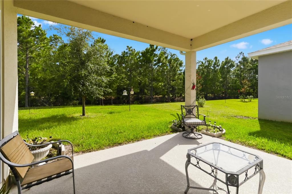 A covered concrete patio overlooks a grassy backyard with a line of pine trees — 2916 HOODED CRANE COVE, ST CLOUD, FL