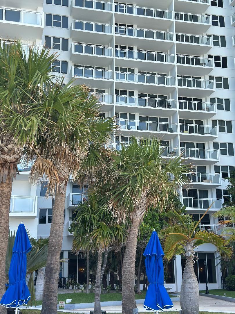 A multi-story white residential building stands behind several palm trees and blue patio umbrellas — 2030 S Ocean Dr # 416, Hallandale Beach FL 33009, HALLANDALE BEACH, FL