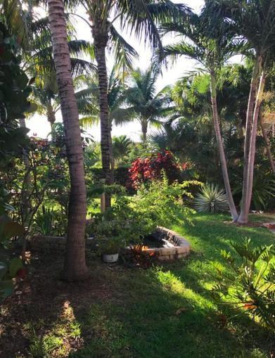 A lush tropical backyard features palm trees, a small brick-bordered pond, and varied greenery — 12 S Ocean Breeze # 2, FL 33460, FL