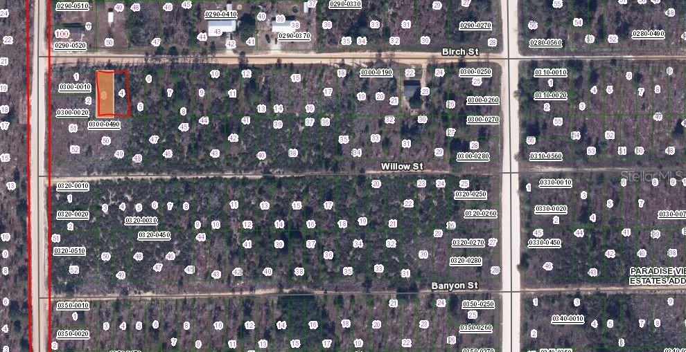 00 BIRCH STREET, INTERLACHEN, FL — photo 2 of 3