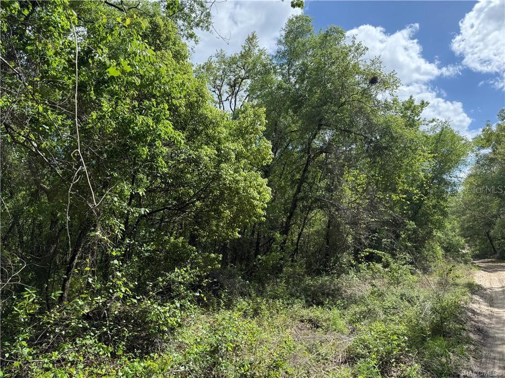 A dirt path runs alongside a dense, wooded area under a partly cloudy sky — 112 N CRESTVIEW AVENUE, INVERNESS, FL