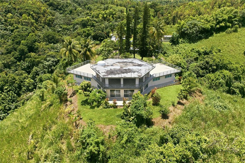 An aerial view of a hexagonal house surrounded by dense tropical forest and greenery — 988 KM 1.5, LUQUILLO, PR