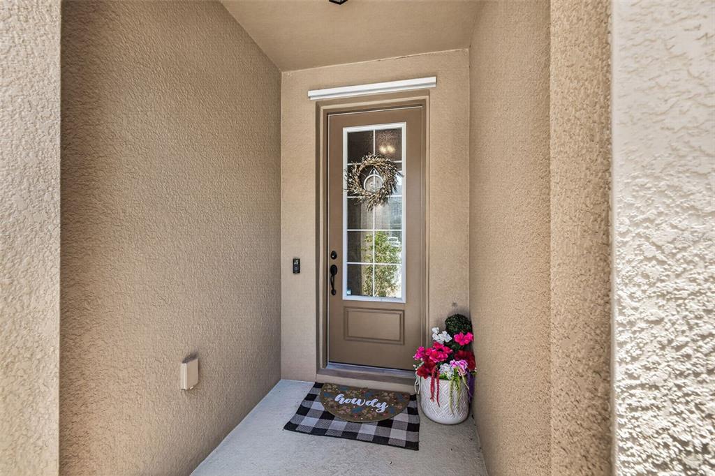 A front entryway features a tan door with a glass insert and a welcome mat — 6231 SCARLET DARTER WAY, TAMPA, FL