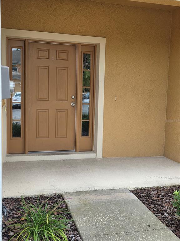 A brown front door with side windows is set into a tan stucco exterior wall — 8327 PINE RIVER ROAD, TAMPA, FL