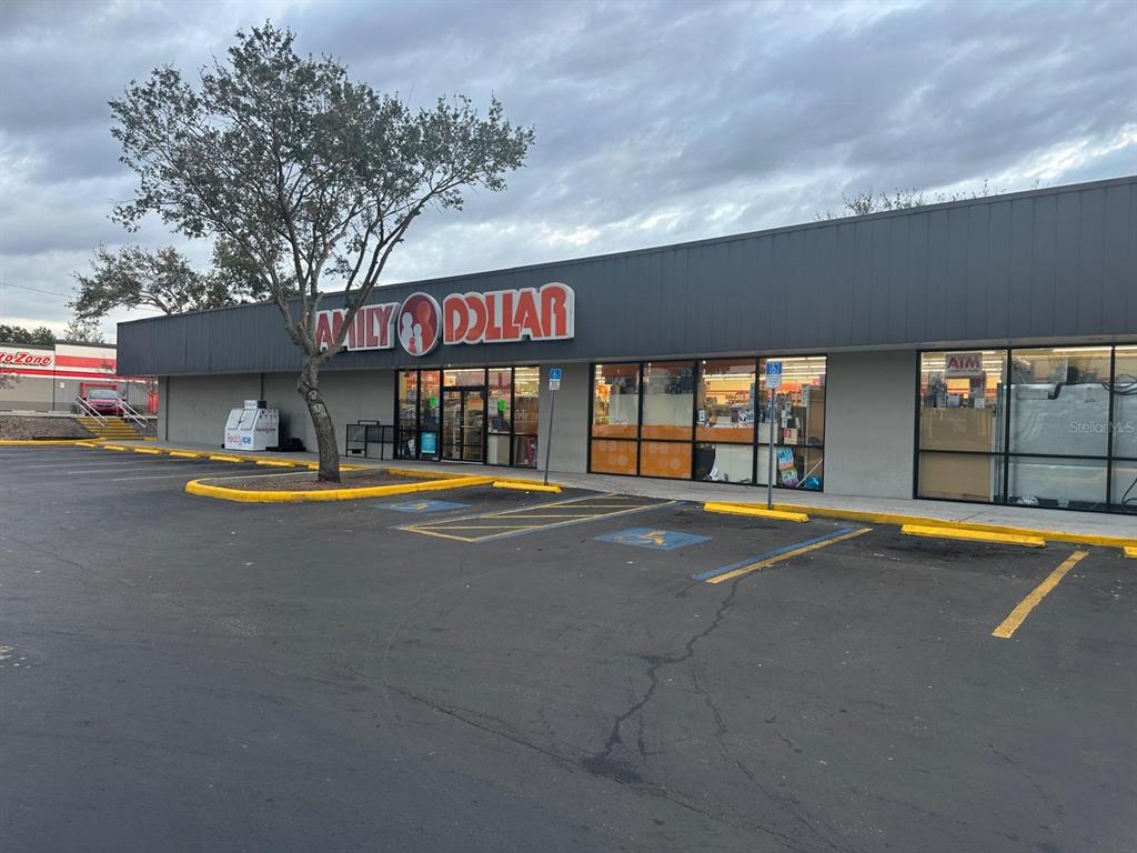 A Family Dollar store exterior features a parking lot with designated handicap spaces — 1727 E BUSCH BOULEVARD, TAMPA, FL