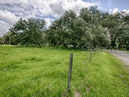 A grassy, fenced lot features several large, mature trees under a cloudy sky — CR 763, BUSHNELL, FL