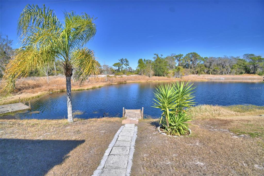 A stone path leads to a small wooden dock on a pond with palm trees — 8454 BREEZE HILL DRIVE, LAKE WALES, FL