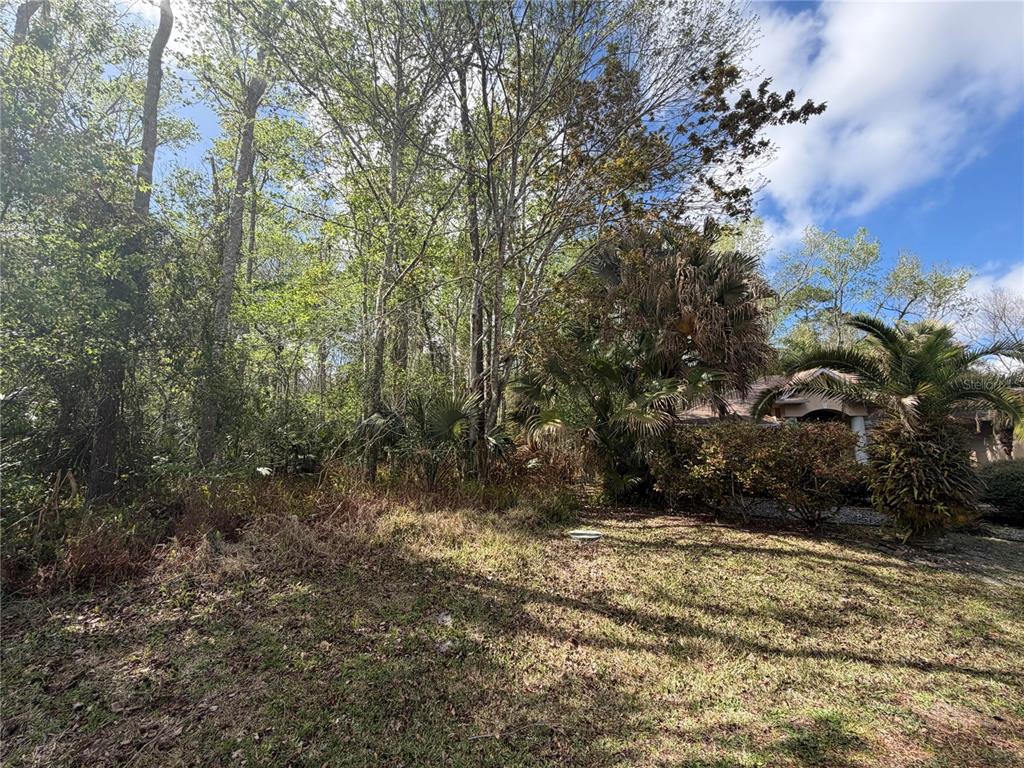 A grassy yard leads to a dense wooded area next to a residential house — 6 ZEPPELIN COURT, PALM COAST, FL