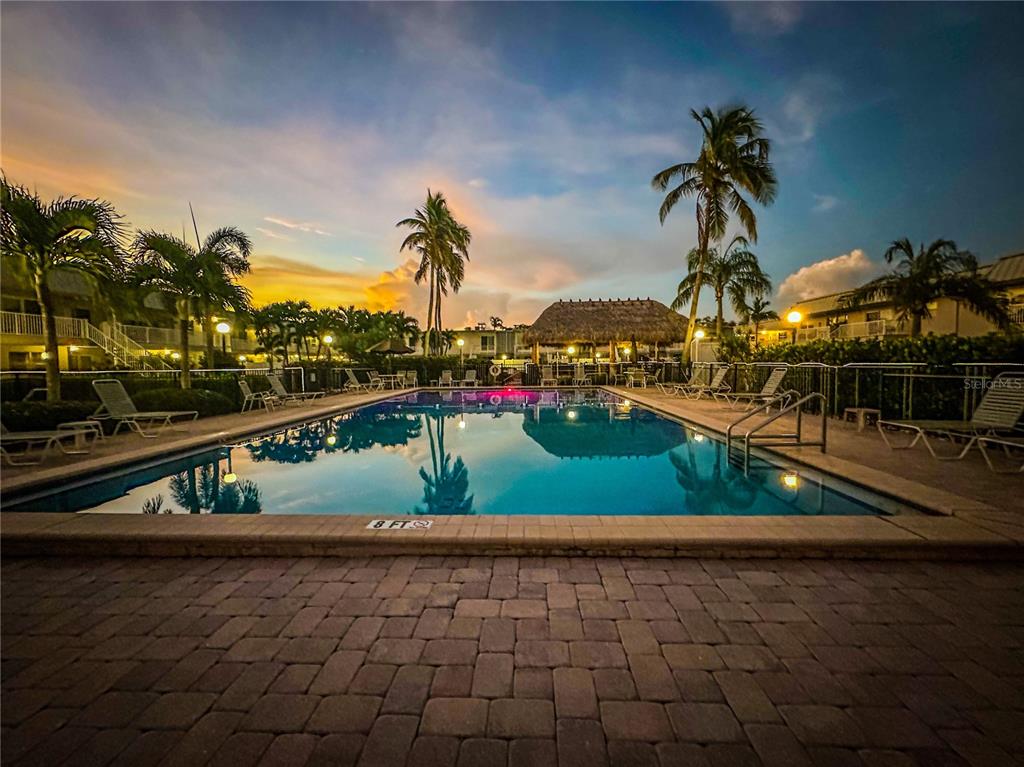 A rectangular swimming pool is surrounded by a paver deck, lounge chairs, and palm trees — 6777 WINKLER ROAD UNIT A236, FORT MYERS, FL