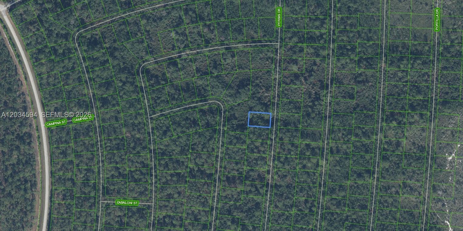 This is an aerial map showing a highlighted vacant lot within a wooded residential area — 6643 Persis Dr., Sebring FL 33872, SEBRING, FL