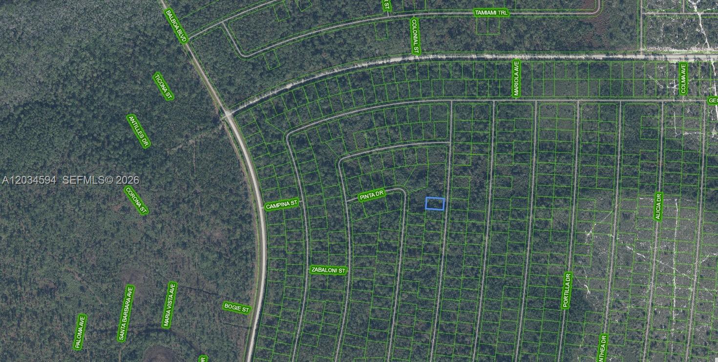 This is an aerial map showing a vacant lot highlighted in blue within a residential area — 6643 Persis Dr., Sebring FL 33872, SEBRING, FL