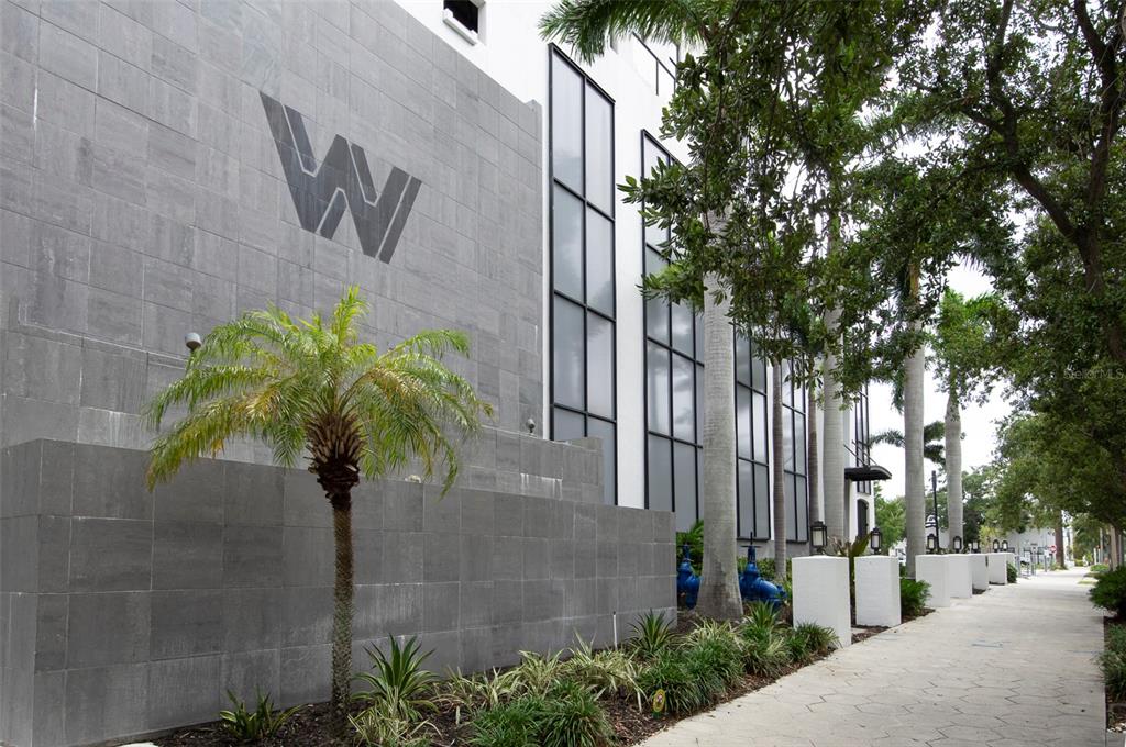A gray stone exterior wall features a large W logo next to tall windows and palms — 226 5TH AVENUE N UNIT M02, ST PETERSBURG, FL