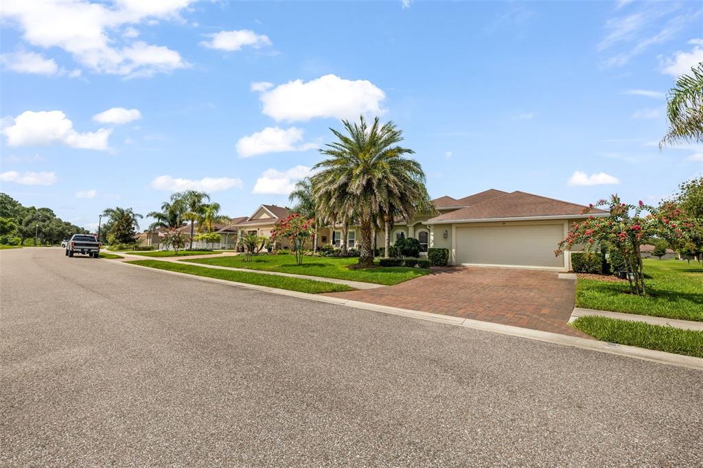 A single-story house with a brick driveway and a palm tree in the front yard — 64 ARENA LAKE DRIVE, PALM COAST, FL