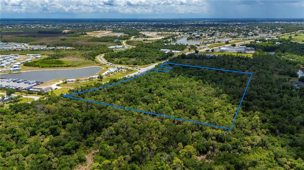 An aerial view shows a large, wooded plot of land outlined in blue — SW CO RD 769, LAKE SUZY, FL