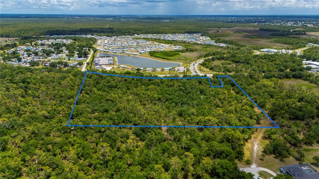 An aerial view shows a rectangular plot of land outlined in blue amidst dense forest — SW CO RD 769, LAKE SUZY, FL