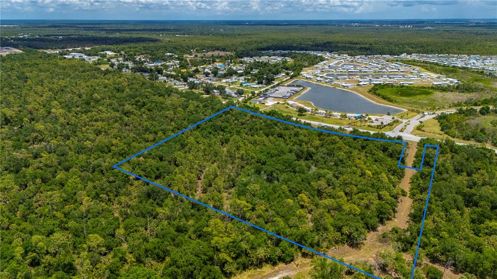 An aerial view shows a large, wooded plot of land outlined in blue near a lake — SW CO RD 769, LAKE SUZY, FL