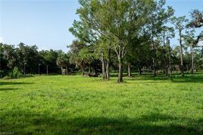 A grassy, open field is surrounded by a line of mature trees under a blue sky — 2115 N Cr 78 Road, FL 33935, FL
