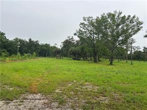 A grassy, open lot features scattered trees under an overcast sky — 2115 N Cr 78 Road, FL 33935, FL