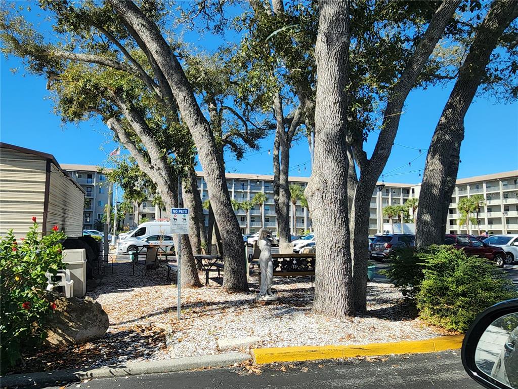 A small park area with trees, a statue, and a no pets sign near buildings — 3064 LAKE BAYSHORE DRIVE UNIT 115, BRADENTON, FL
