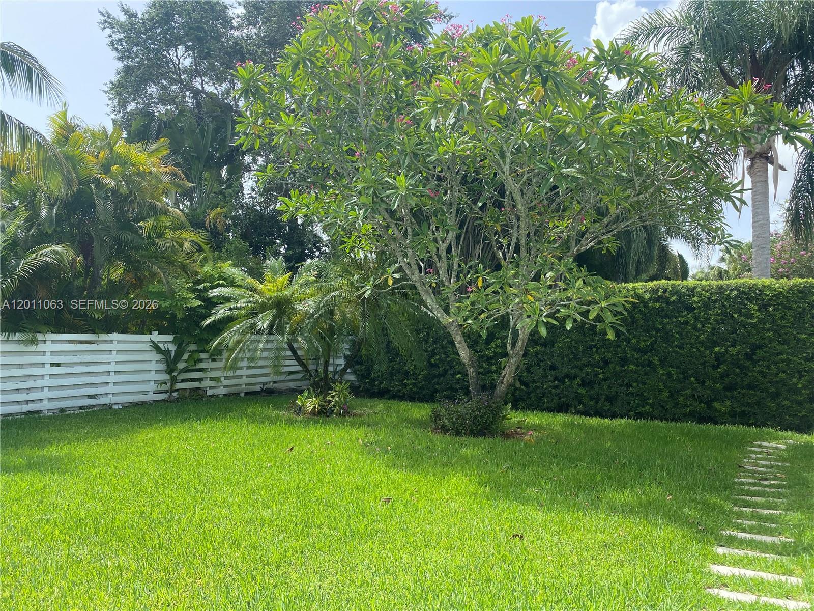 A grassy backyard features a large flowering tree, a smaller palm, and a white fence — 13255 SW 106th Ave, Miami FL 33176, MIAMI, FL