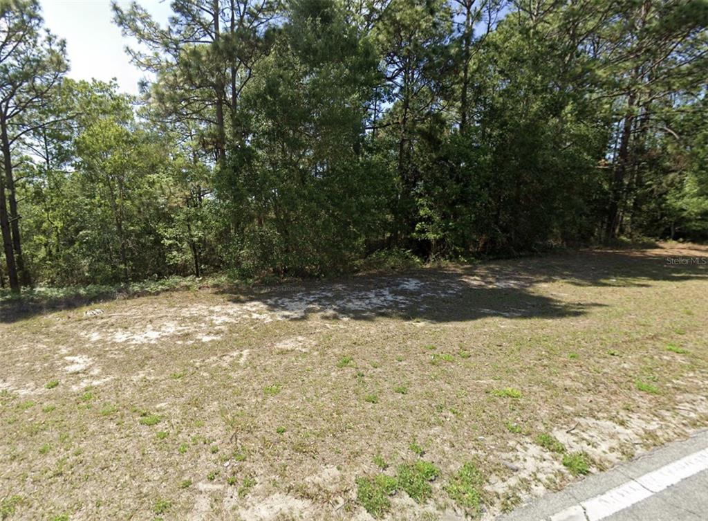 A vacant, grassy lot with sandy patches is bordered by a dense line of trees — 7868 N ELKCAM BLVD, CITRUS SPRINGS, FL
