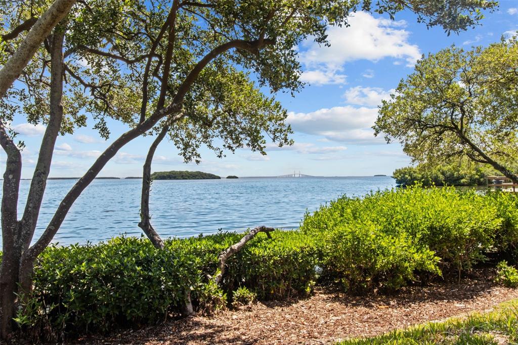 A view of a bay with mangrove trees, a small island, and a distant bridge — 1515 PINELLAS BAYWAY S UNIT 65, ST PETERSBURG, FL