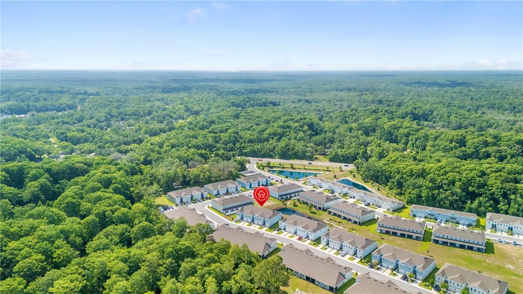 An aerial view shows a suburban residential complex surrounded by dense forest and small ponds — 12003 GRIZZLY LANE, NEW PORT RICHEY, FL
