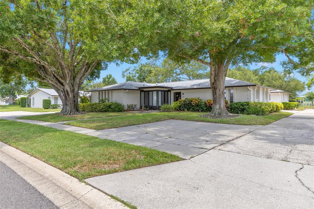 A single-story house with a concrete driveway and two large trees in the front yard — 1227 QUEEN ANNE DRIVE UNIT A, PALM HARBOR, FL