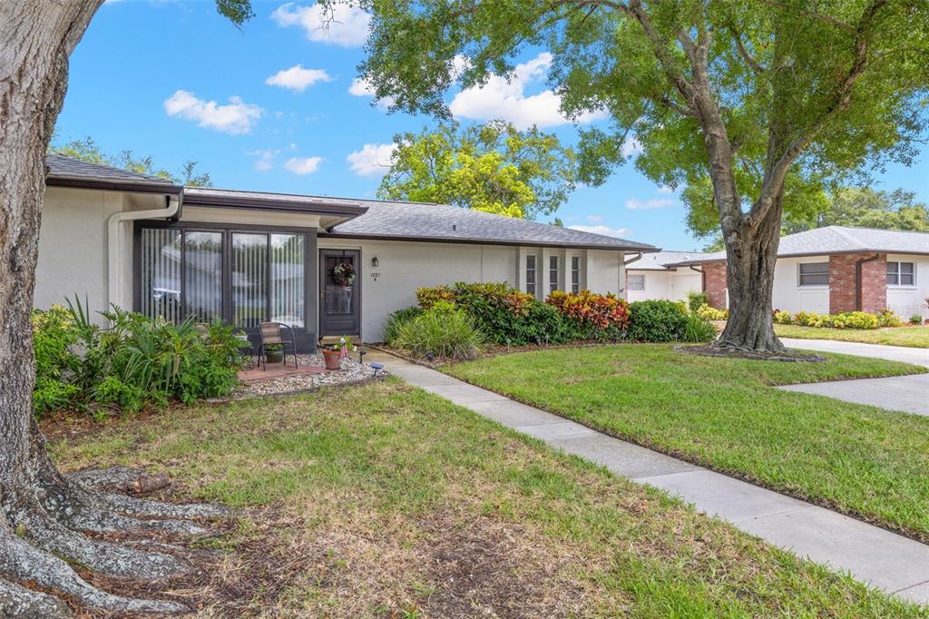 A single-story house with a light-colored exterior, a front walkway, and large shade trees — 1227 QUEEN ANNE DRIVE UNIT A, PALM HARBOR, FL