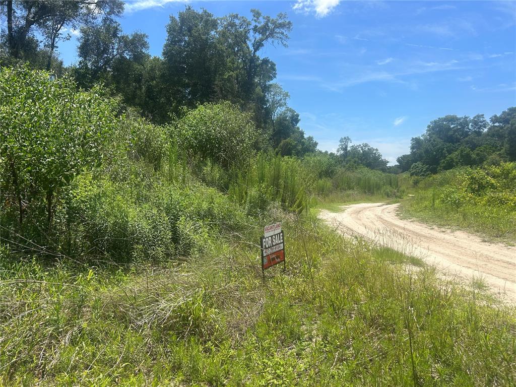 A dirt path winds through a grassy, wooded lot with a for sale sign — 4598 E JAY STREET, INVERNESS, FL