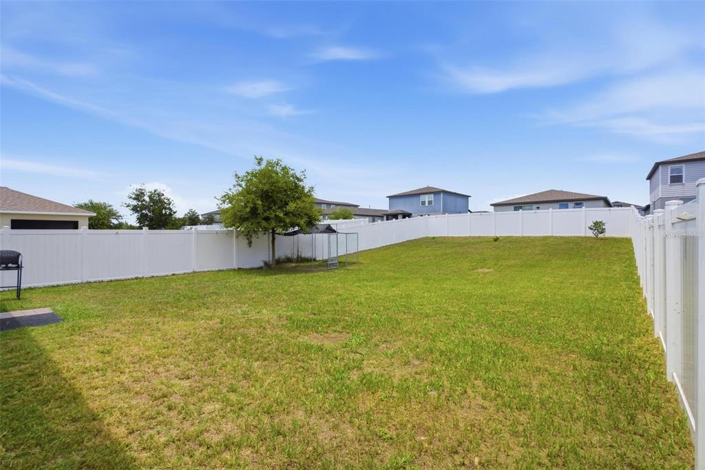 A fenced backyard features a grassy lawn, a single tree, and neighboring suburban houses — 29460 CASPIAN STREET, LEESBURG, FL