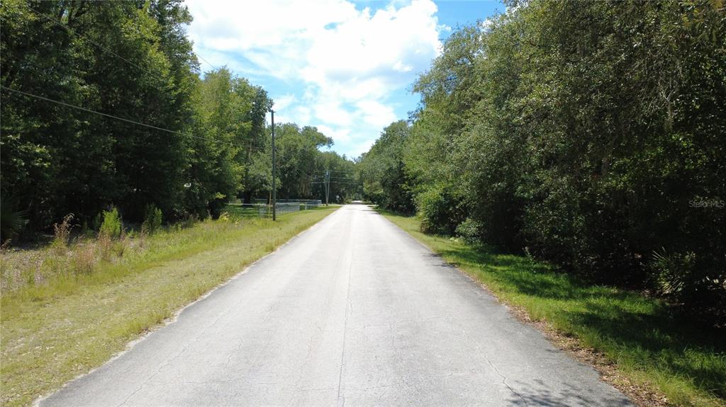 A paved road stretches forward between dense trees and grassy shoulders under a blue sky — 12792 W BALTIC IVY STREET, CRYSTAL RIVER, FL