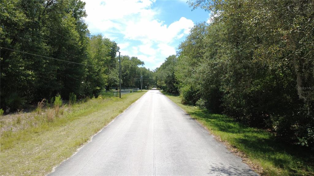 A paved road stretches into the distance, flanked by dense trees and grassy shoulders — 12792 W BALTIC IVY STREET, CRYSTAL RIVER, FL