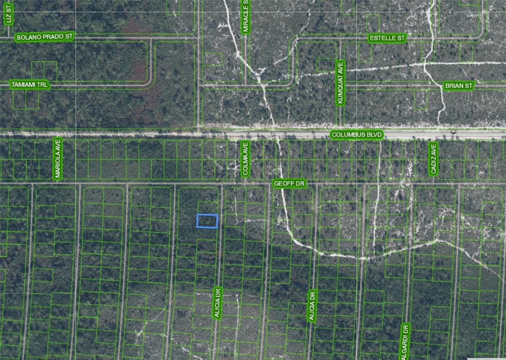 An aerial map shows a highlighted rectangular land parcel located near Geoff Drive — 6316 ALICIA DRIVE, SEBRING, FL