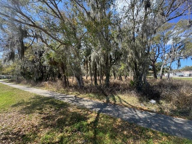 A paved path runs alongside a wooded area filled with trees draped in Spanish moss — WALLACE ROAD, NEW SMYRNA BEACH, FL