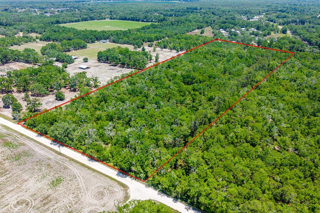 An aerial view shows a rectangular plot of land outlined in red, covered in dense trees — TBD NW 40 AVENUE, BELL, FL