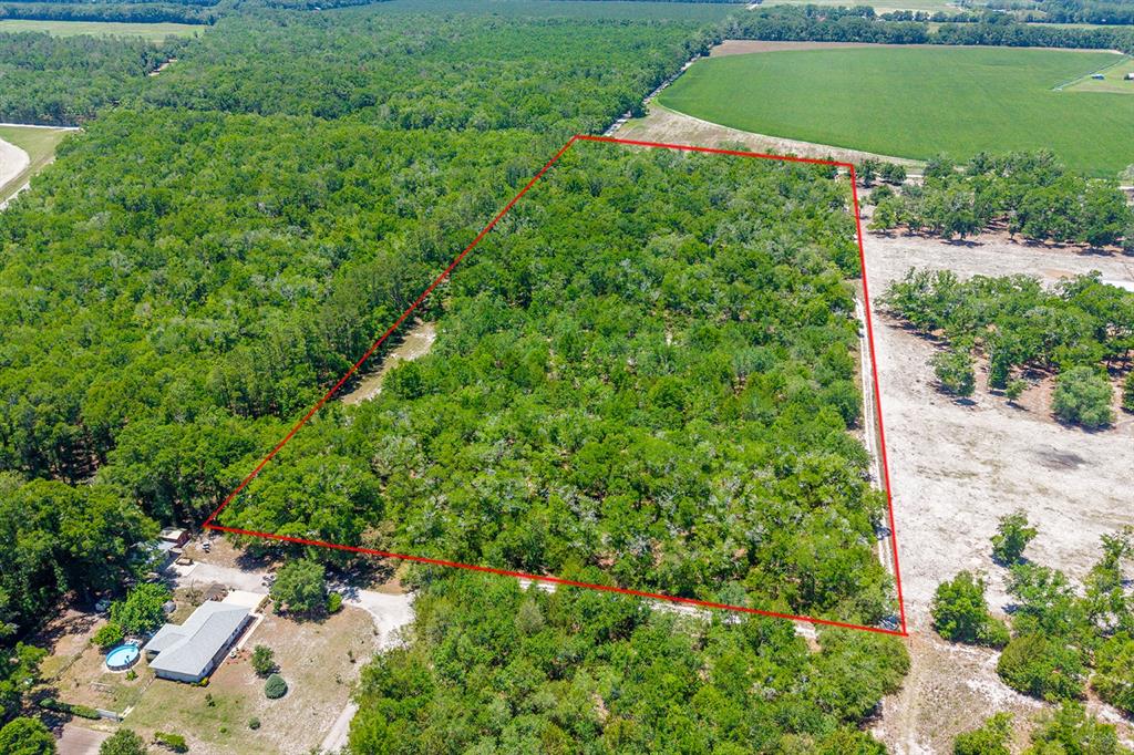 An aerial view shows a rectangular plot of wooded land outlined in red — TBD NW 40 AVENUE, BELL, FL