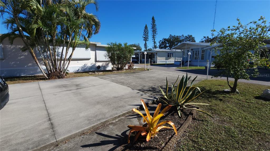 A concrete driveway leads to mobile homes with palm trees and landscaping in the foreground — 3275 26TH AVENUE E UNIT 165, BRADENTON, FL