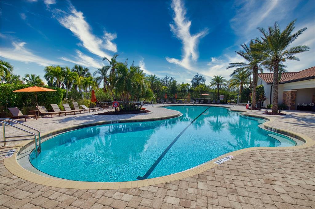 A curved swimming pool with a paved deck and palm trees under a blue sky — 5628 SEMOLINO STREET, NOKOMIS, FL