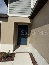 A concrete walkway leads to a dark blue front door under a covered entryway — 1629 TROPICAL OASIS AVENUE, PLANT CITY, FL