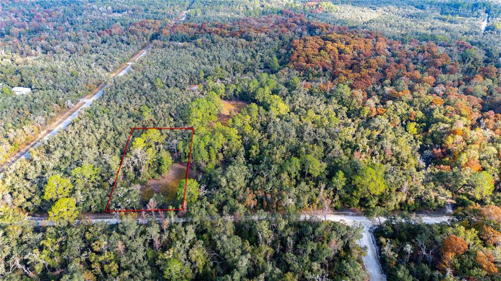 An aerial view shows a rectangular plot of land outlined in red amidst dense forest — 0 ROSE BLOOM LOT 7 AVENUE, WEBSTER, FL