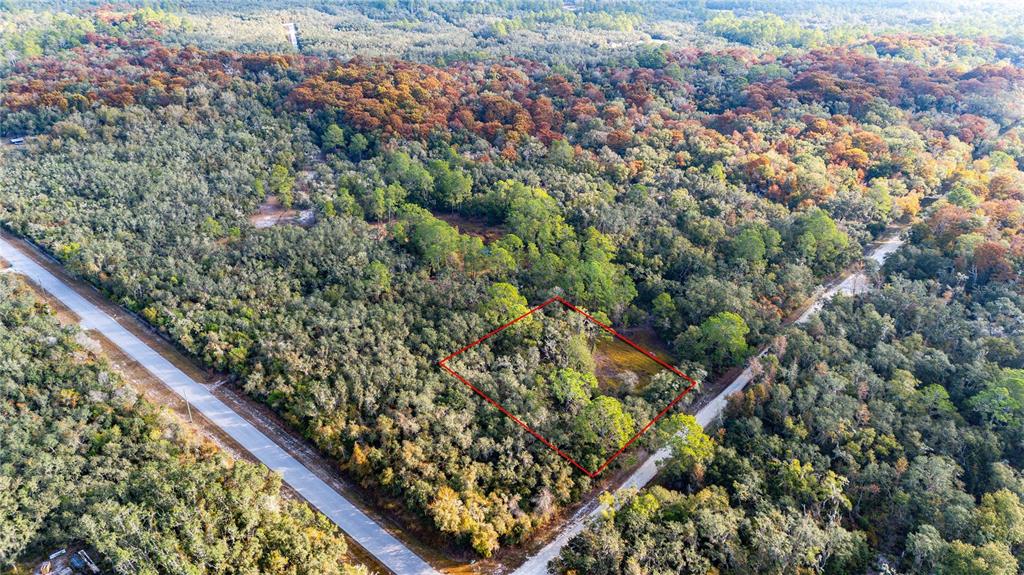 An aerial view shows a rectangular plot of land outlined in red amidst wooded terrain — 0 ROSE BLOOM LOT 7 AVENUE, WEBSTER, FL