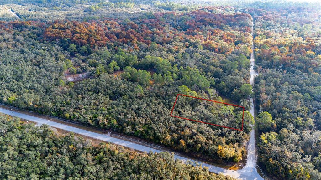 An aerial view shows a rectangular plot of land outlined in red near a road — 0 ROSE BLOOM LOT 7 AVENUE, WEBSTER, FL