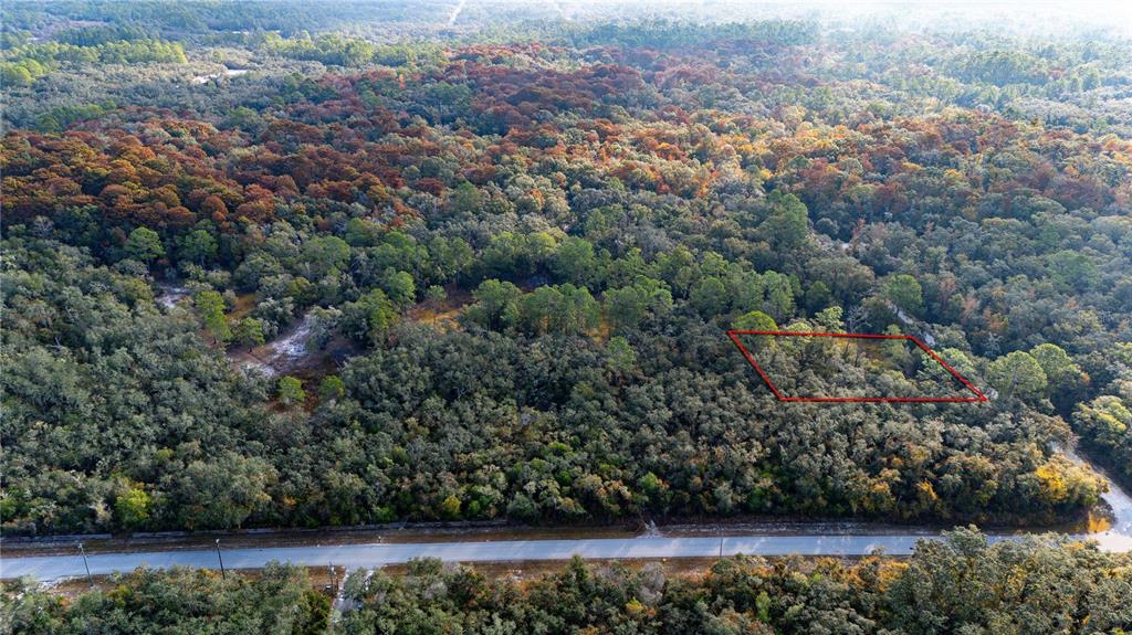 An aerial view shows a rectangular plot of land outlined in red amidst dense forest — 0 ROSE BLOOM LOT 7 AVENUE, WEBSTER, FL