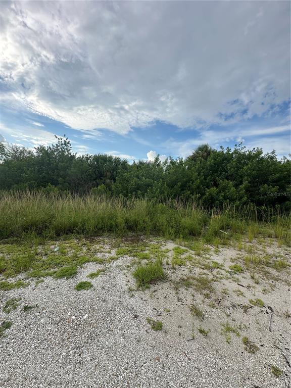 A sandy, shell-covered lot features tall grasses and a dense line of trees under clouds — 4362 KERRIGAN CIRCLE, PORT CHARLOTTE, FL