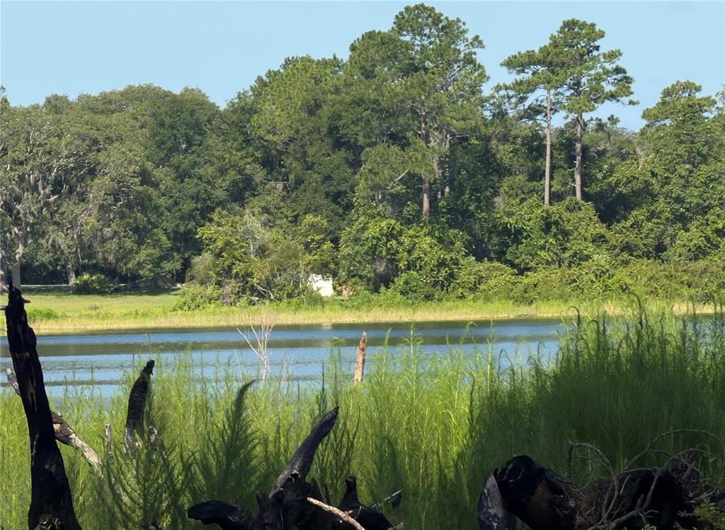 A view of a lake bordered by tall grasses and a dense forest of trees — TBD MALAUKA RADIAL, OCKLAWAHA, FL