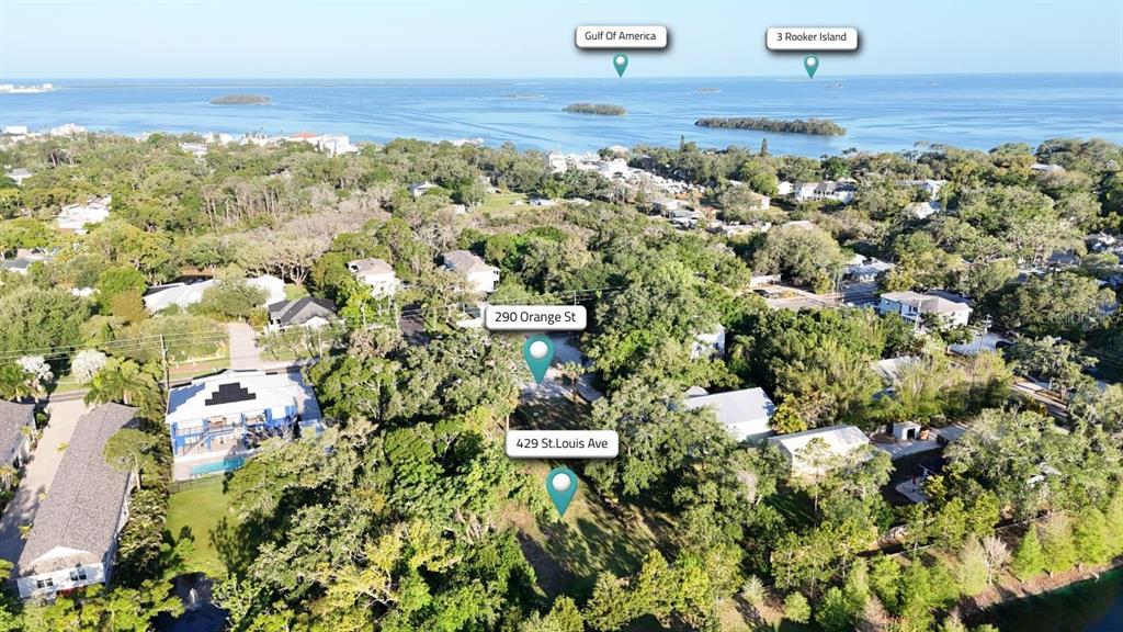 This aerial view shows a wooded residential area near the coast with several houses — 290 ORANGE STREET, PALM HARBOR, FL