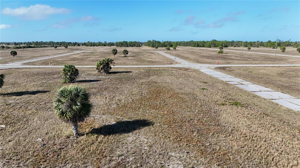 An aerial view shows a vacant, grassy lot with scattered palm trees and paved roads — 14381 SWORDFISH COURT, PLACIDA, FL