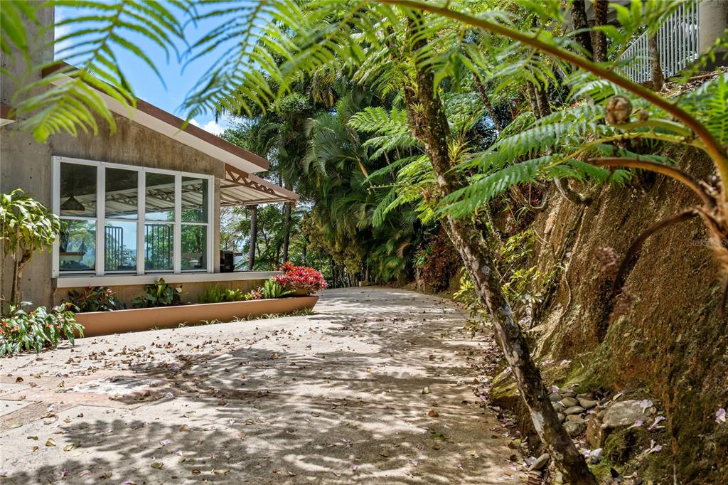 A concrete driveway leads past a house with large windows and a landscaped hillside — PR-184 GUAVATE, CAYEY, PR