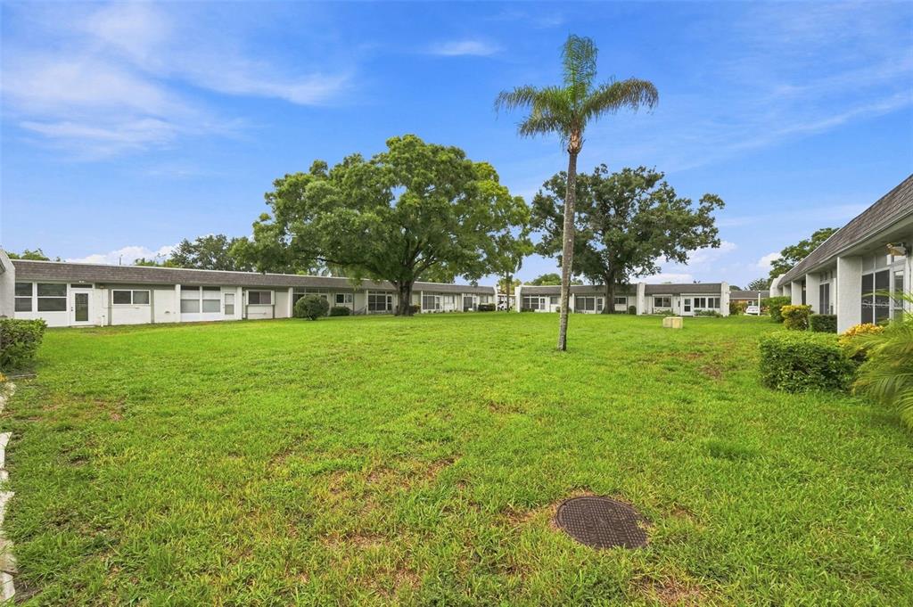 A grassy courtyard sits between low-rise residential buildings with a palm tree and large trees — 4651 LAKE VILLA DRIVE, CLEARWATER, FL